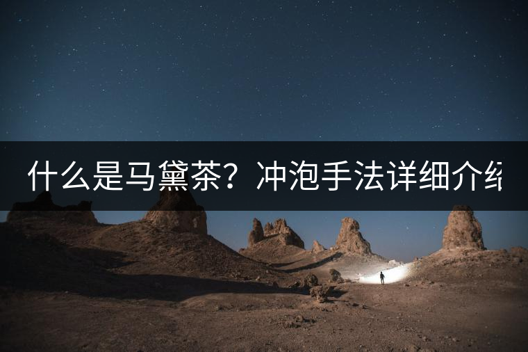 什么是馬黛茶？沖泡手法詳細(xì)介紹！