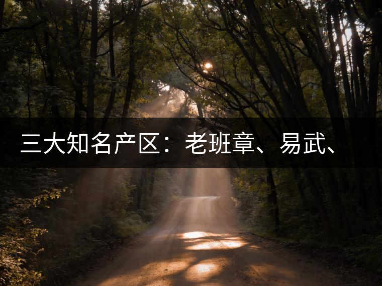 三大知名產(chǎn)區(qū)：老班章、易武、景邁三大茶系都有哪些特點(diǎn)！