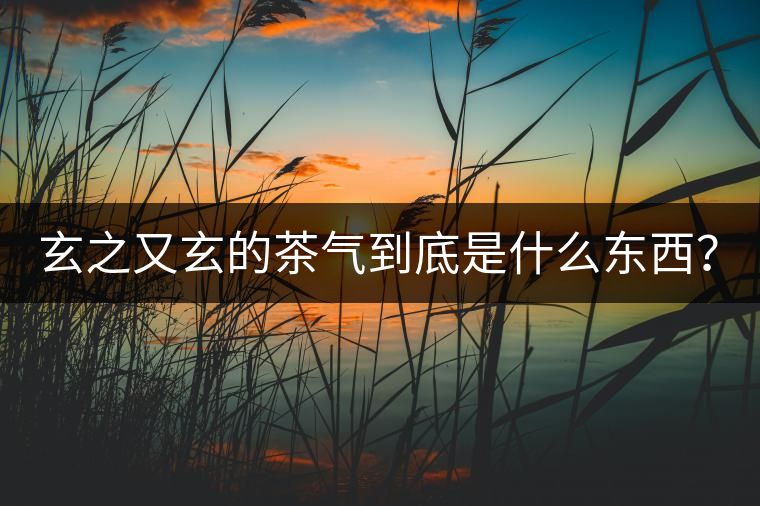 玄之又玄的茶氣到底是什么東西？