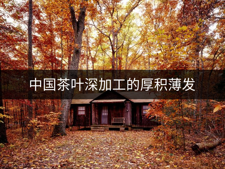 中國茶葉深加工的厚積薄發(fā)