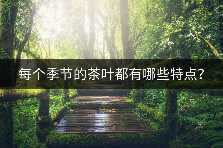 每個季節(jié)的茶葉都有哪些特點(diǎn)? 每個季節(jié)的茶葉都有哪些特點(diǎn)?