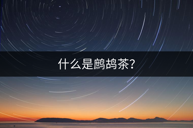 什么是鷓鴣茶？