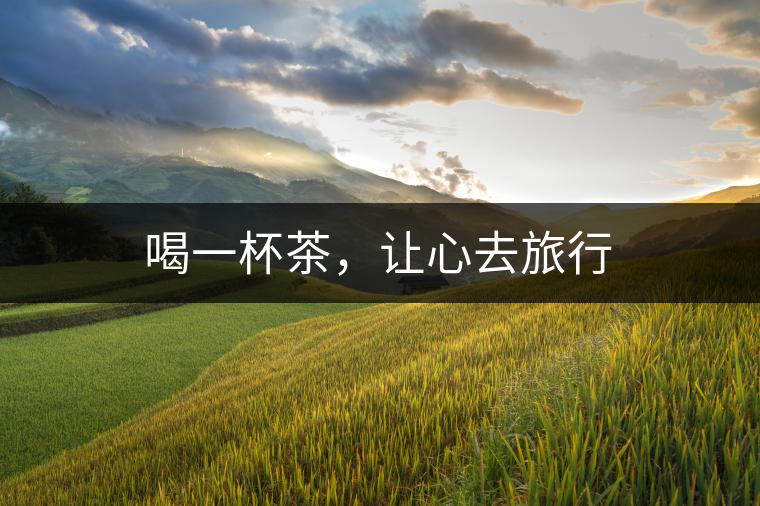 喝一杯茶，讓心去旅行