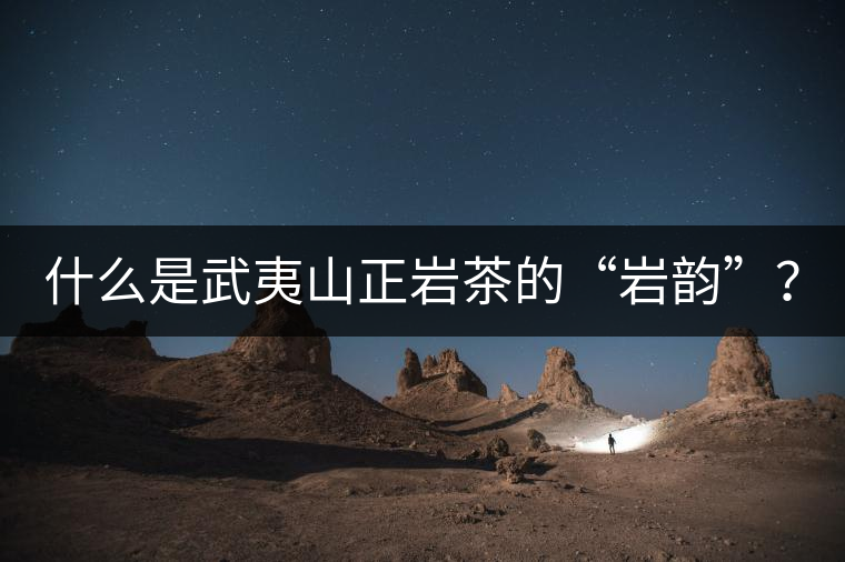 什么是武夷山正巖茶的“巖韻”？