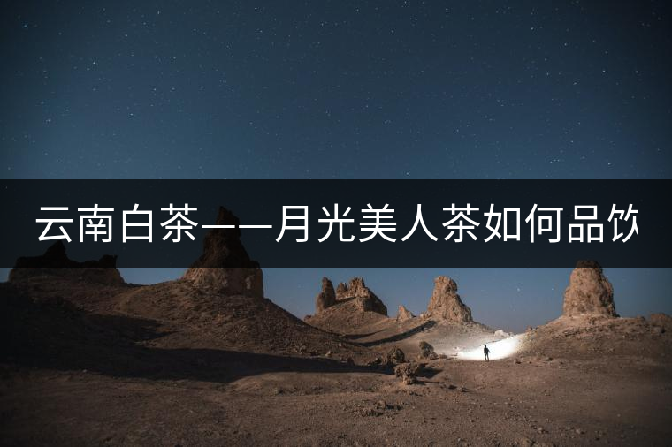 云南白茶——月光美人茶如何品飲？