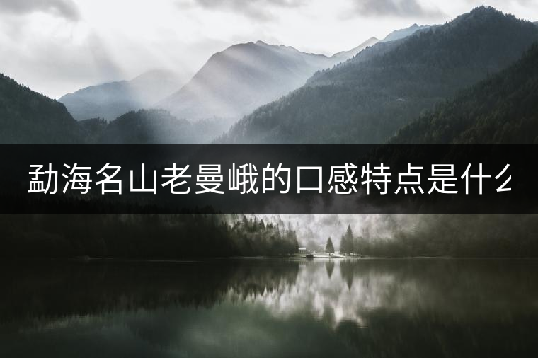 勐海名山老曼峨的口感特點(diǎn)是什么？