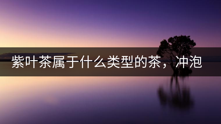 紫葉茶屬于什么類(lèi)型的茶，沖泡需要注意什么？