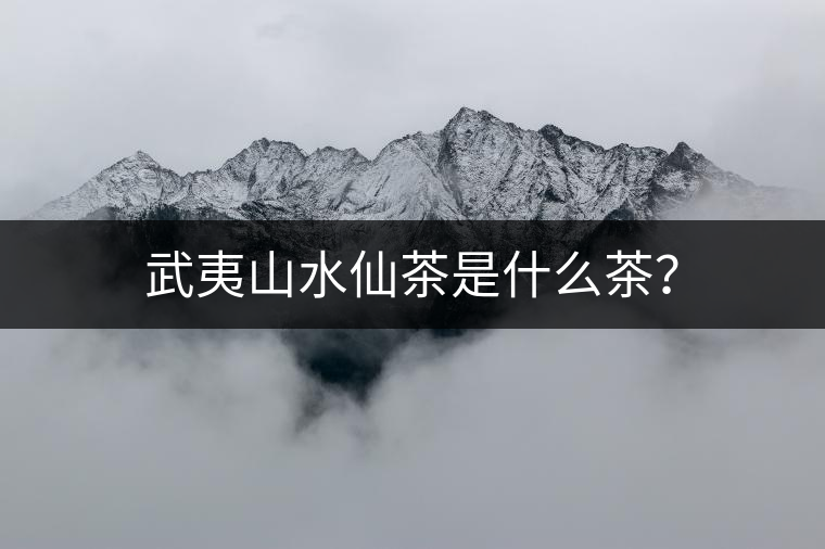 武夷山水仙茶是什么茶？