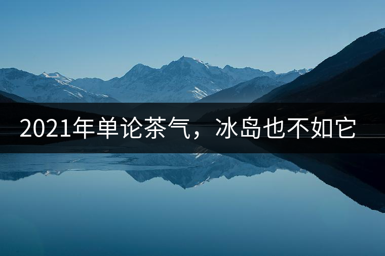 2021年單論茶氣，冰島也不如它-磨烈古樹秋