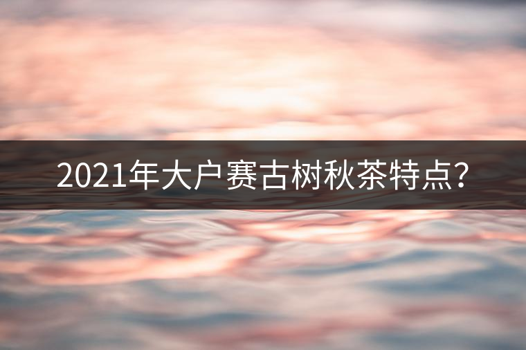 2021年大戶賽古樹(shù)秋茶特點(diǎn)？