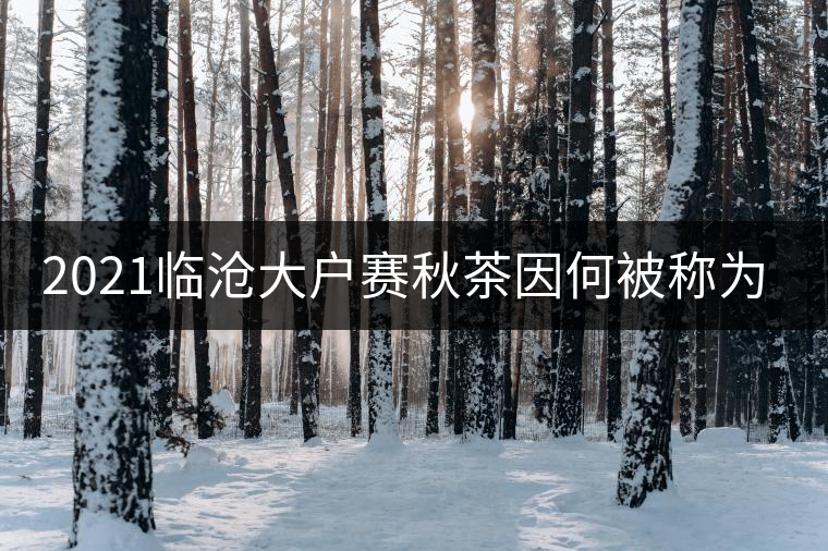 2021臨滄大戶賽秋茶因何被稱為潛力股？