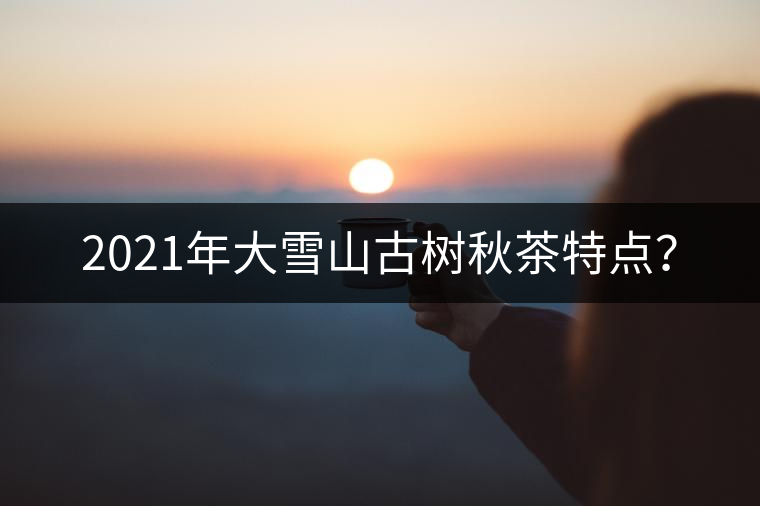 2021年大雪山古樹秋茶特點(diǎn)？