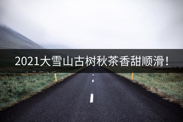 2021大雪山古樹秋茶香甜順滑！