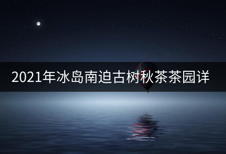 2021年冰島南迫古樹(shù)秋茶茶園詳解！