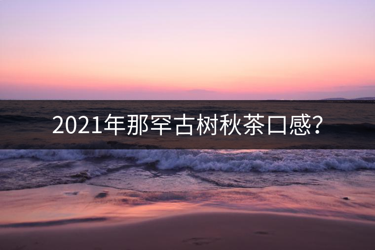 2021年那罕古樹(shù)秋茶口感？