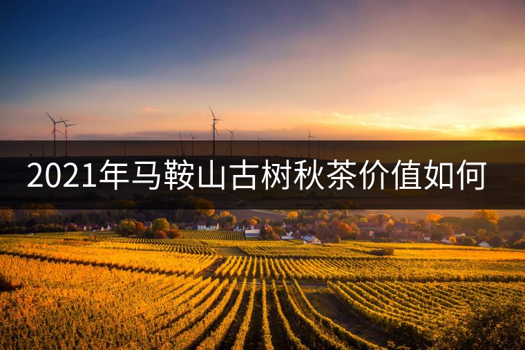 2021年馬鞍山古樹秋茶價(jià)值如何？