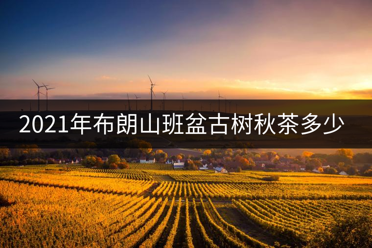 2021年布朗山班盆古樹秋茶多少錢一公斤？