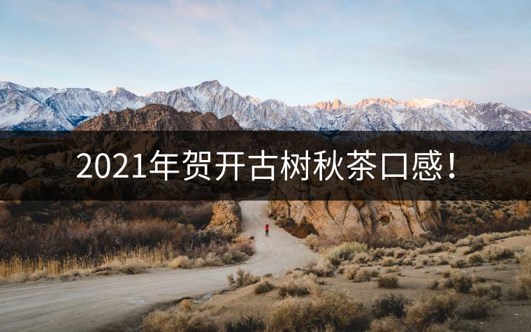 2021年賀開古樹秋茶口感！