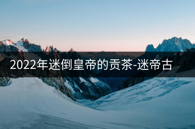 2022年迷倒皇帝的貢茶-迷帝古樹(shù)春茶特點(diǎn)？
