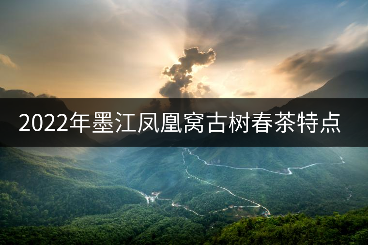 2022年墨江鳳凰窩古樹春茶特點是什么？