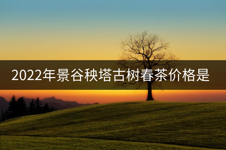 2022年景谷秧塔古樹春茶價格是多少？