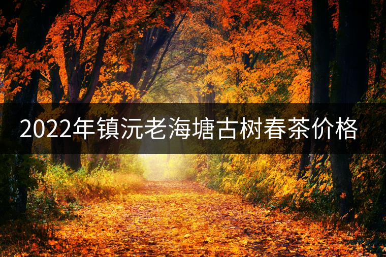 2022年鎮(zhèn)沅老海塘古樹春茶價格？