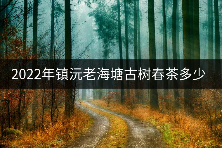 2022年鎮(zhèn)沅老海塘古樹春茶多少錢一公斤? 2022年鎮(zhèn)沅老海塘古樹春茶多少錢一公斤?