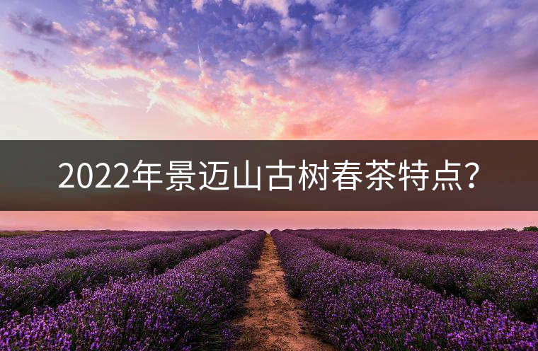 2022年景邁山古樹(shù)春茶特點(diǎn)？