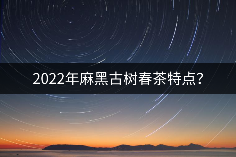 2022年麻黑古樹春茶特點？