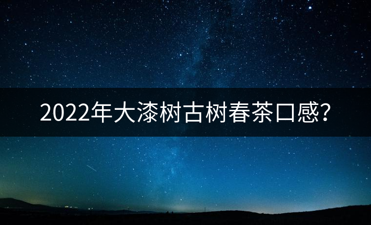 2022年大漆樹古樹春茶口感？