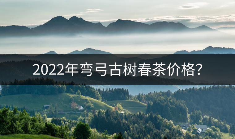 2022年彎弓古樹春茶價格？