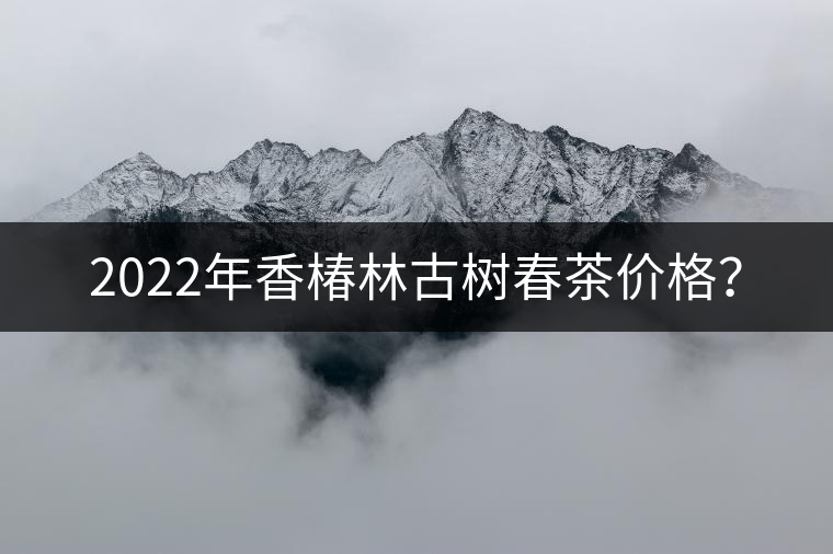 2022年香椿林古樹春茶價格？