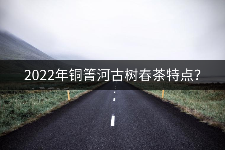 2022年銅箐河古樹春茶特點？