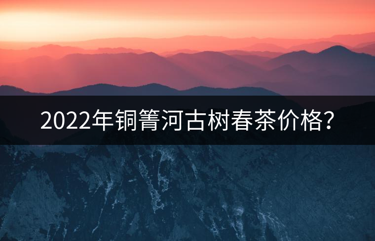 2022年銅箐河古樹春茶價格？