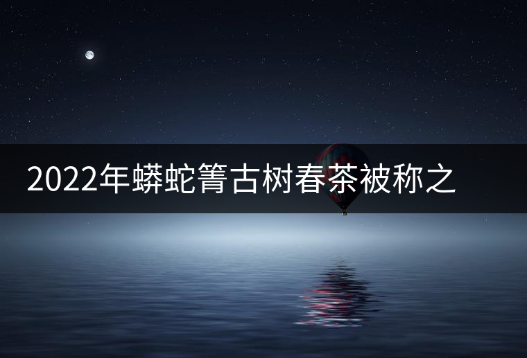 2022年蟒蛇箐古樹(shù)春茶被稱(chēng)之為“蛇精”的普洱茶