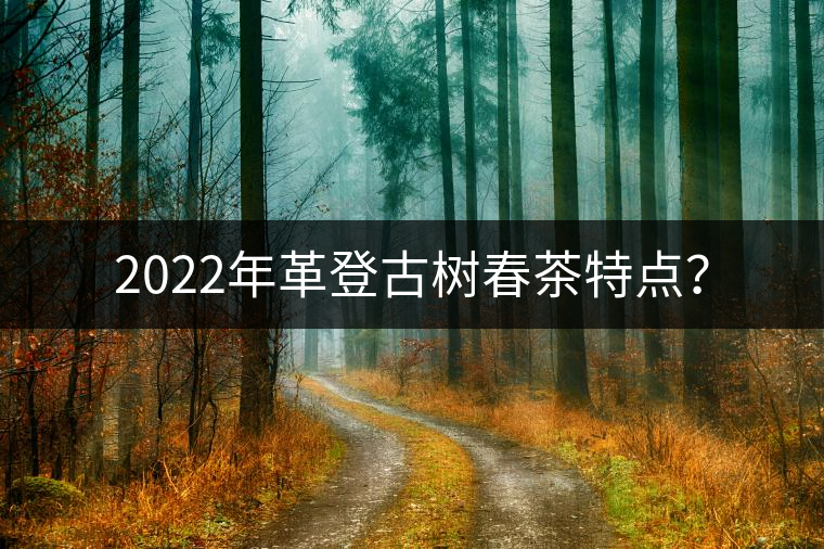 2022年革登古樹(shù)春茶特點(diǎn)？