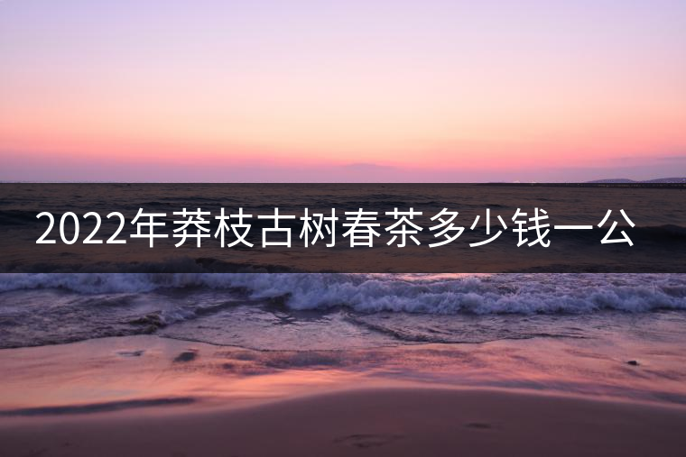 2022年莽枝古樹春茶多少錢一公斤？