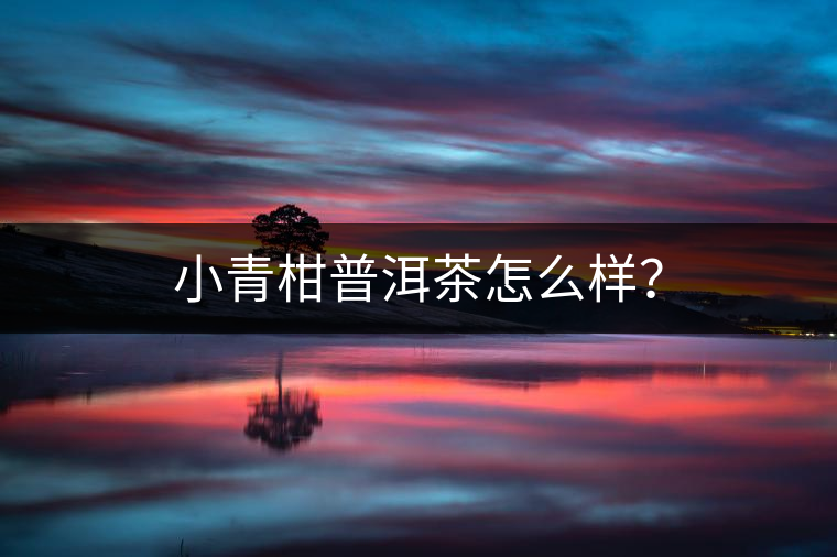 小青柑普洱茶怎么樣？