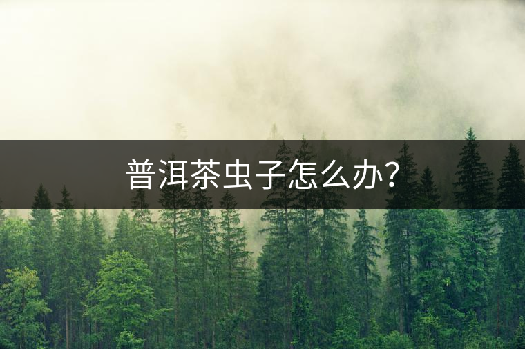 普洱茶蟲(chóng)子怎么辦？