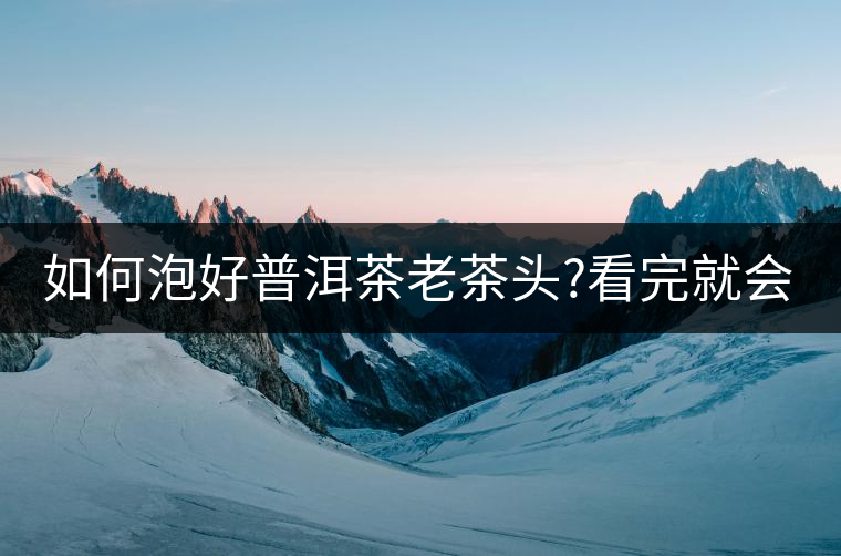 如何泡好普洱茶老茶頭?看完就會(huì)泡了!