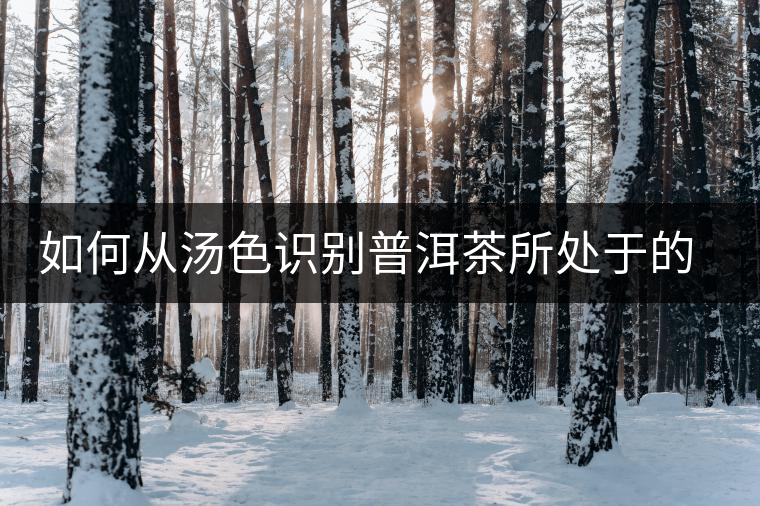 如何從湯色識(shí)別普洱茶所處于的轉(zhuǎn)化期？