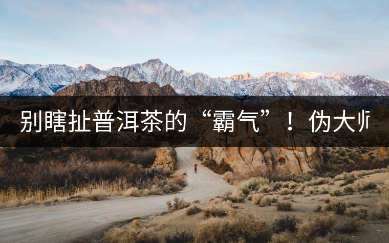 別瞎扯普洱茶的“霸氣”！偽大師！