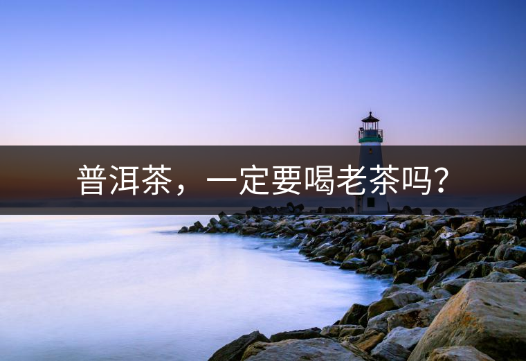 普洱茶，一定要喝老茶嗎？