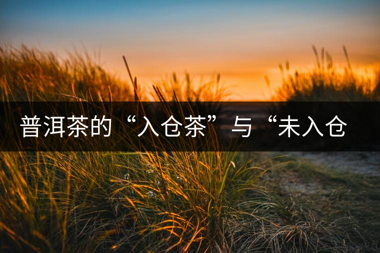 普洱茶的“入倉茶”與“未入倉茶”如何區(qū)分，你造嗎？