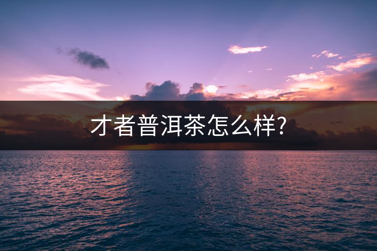 才者普洱茶怎么樣? 才者普洱茶怎么樣?
