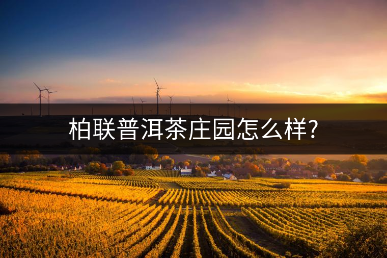 柏聯(lián)普洱茶莊園怎么樣? 柏聯(lián)普洱茶莊園怎么樣?
