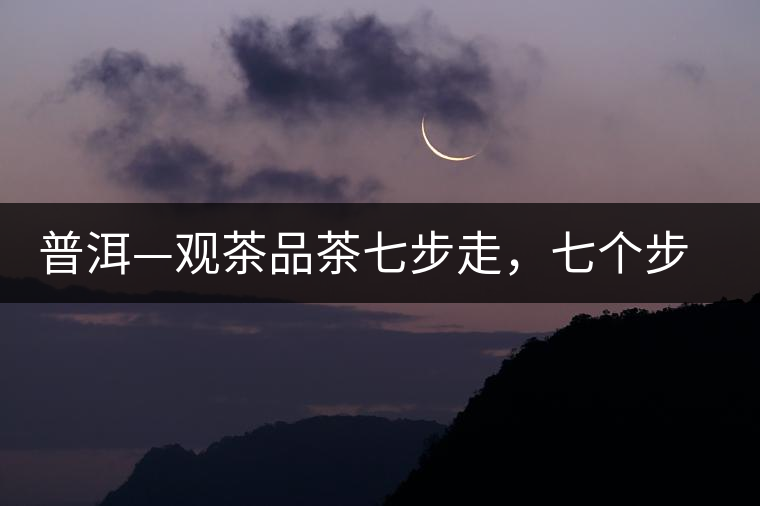 普洱—觀茶品茶七步走，七個(gè)步驟，喝懂普洱茶