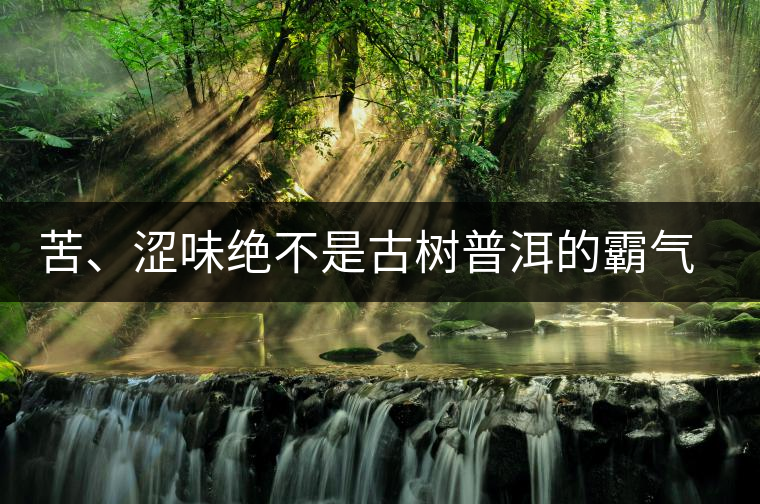 苦、澀味絕不是古樹普洱的霸氣，那也叫懂普洱茶，別逗了！