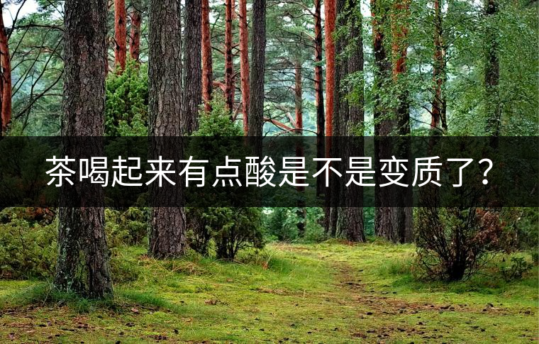 茶喝起來有點(diǎn)酸是不是變質(zhì)了？