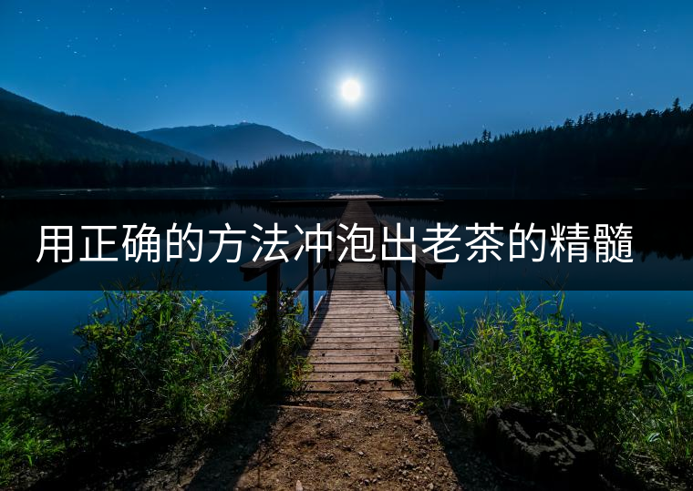 用正確的方法沖泡出老茶的精髓；評看普洱茶葉底也是一門手藝！